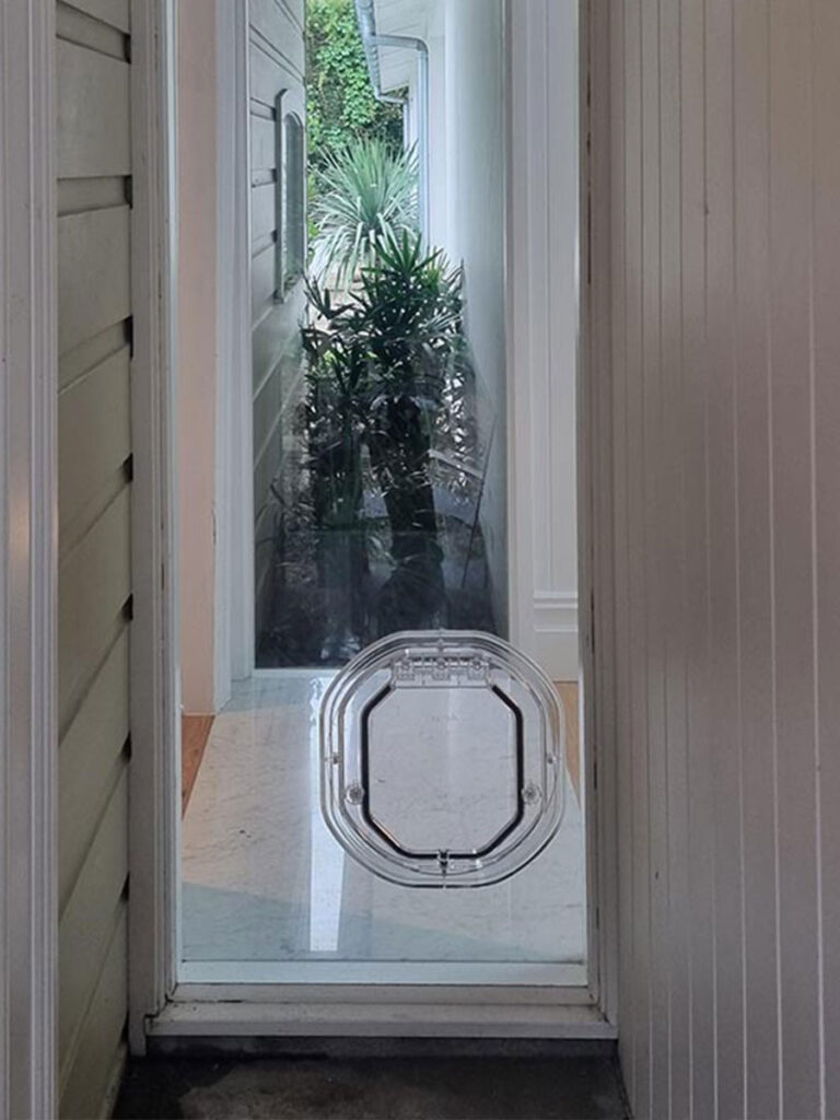window pet doors sharp glass solutions 10