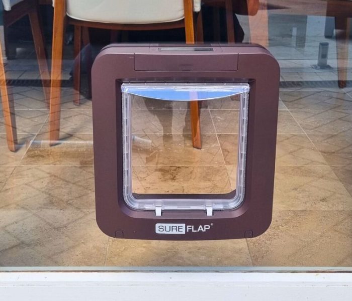 pet-doors-banner-sharp-glass-solutions